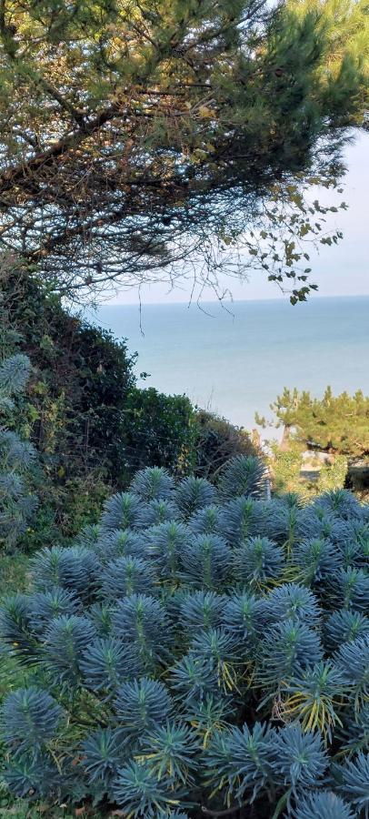 Le Cise Eau A Bois Apartment Le Bois de Cise ภายนอก รูปภาพ